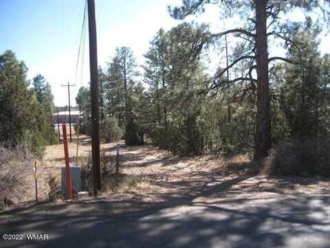 2081 Forest Park, Overgaard, AZ 85933