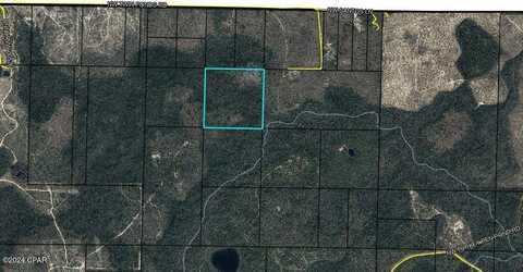 00 NW Camp Head Road, Altha, FL 32421