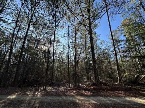 Lot 2 SAGGUS Road, Washington, GA 30673