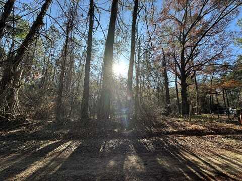 Lot 5 SAGGUS Road, Washington, GA 30673