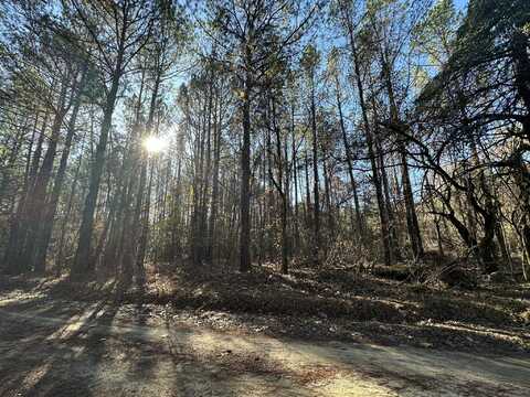 Lot 6 SAGGUS Road, Washington, GA 30673