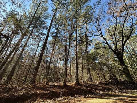 Lot 7 SAGGUS Road, Washington, GA 30673