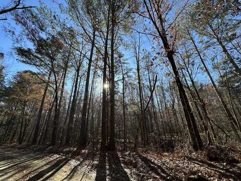 Lot 8 SAGGUS Road, Washington, GA 30673