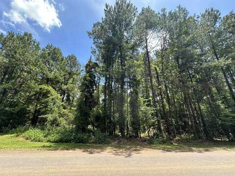 B72 L17 CHARLOTTE Drive, Mc Cormick, SC 29835