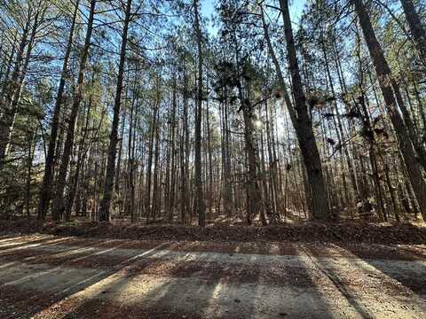 Lot 3 SAGGUS Road, Washington, GA 30673