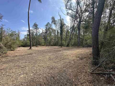 5.12 Acres White Oak Ln, Springfield, LA 70462