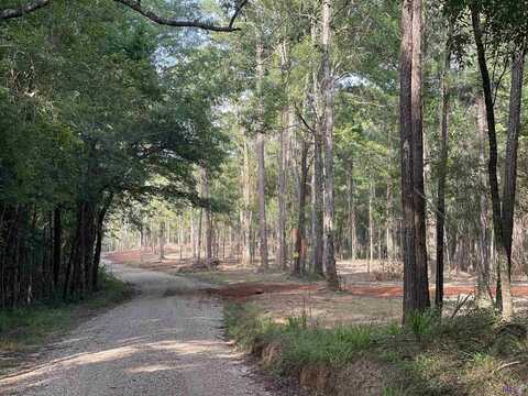 7987 Hepzibah Rd, Clinton, LA 70722