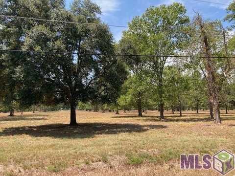 14169 A Poirrier Rd, Gonzales, LA 70737