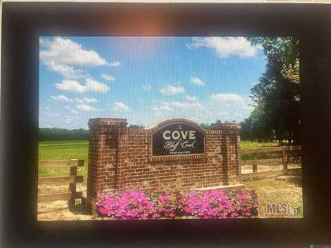 Lot # 7 Lower C C Rd, Clinton, LA 70722