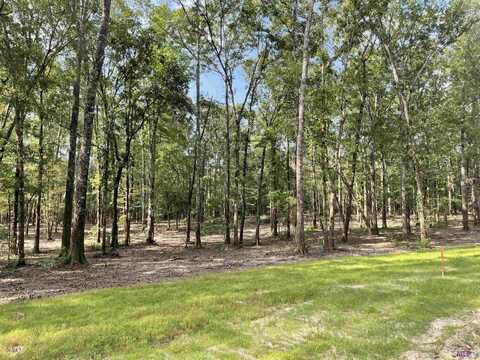 8021 Hepzibah Rd, Clinton, LA 70722