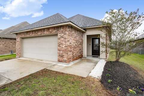 42463 Tigers Eye Stone Ave, Prairieville, LA 70769