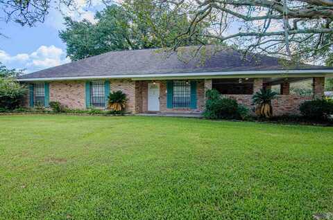 406 N Frances Ave, Gonzales, LA 70737