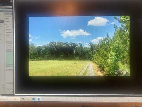 Lot # 17 Feliciana, Clinton, LA 70722