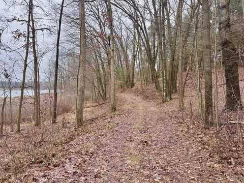 V/L Sindeler Road, Branch, MI 49402