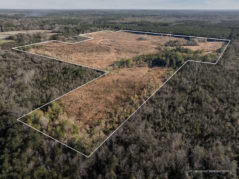 84 ac Hattie Ln., Columbia, MS 39429