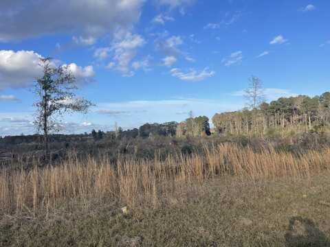 87 ac Jack Kerley Rd., Bassfield, MS 39421