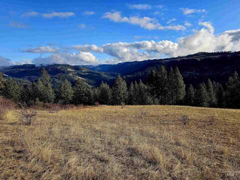 Tbd Dent Bridge Rd, Orofino, ID 83544