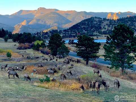 315 Kiowa Dr, Estes Park, CO 80517
