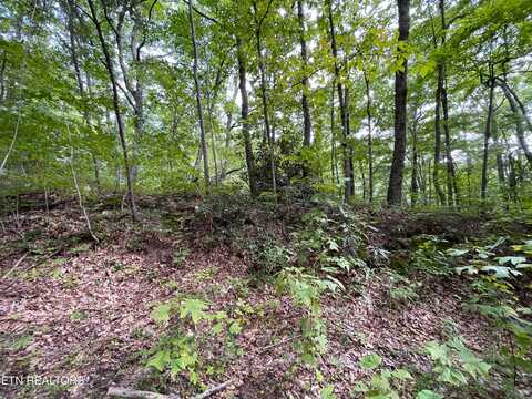 Green Bay Drive, Sevierville, TN 37876