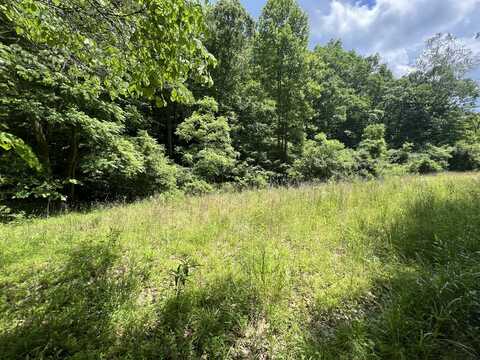 400 TBD Old House Road, West Liberty, KY 41472