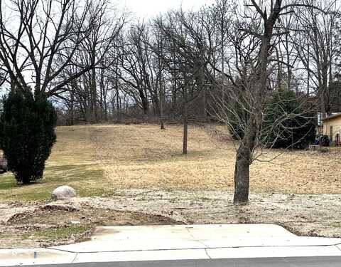 Lt2 Main St, Genoa City, WI 53128