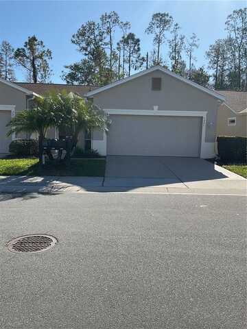 7221 CLEOPATRA DRIVE, LAND O LAKES, FL 34637
