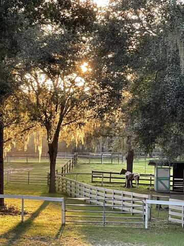 Xxx TRILBY TRAIL, DADE CITY, FL 33523