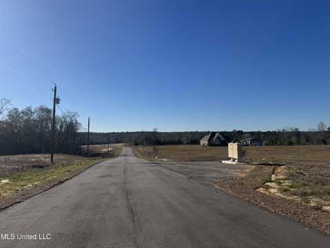 Shadow Wood - Lot 4 Drive, Perkinston, MS 39573