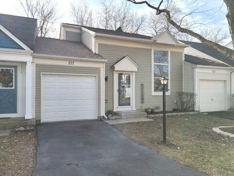 217 W Fairfield Court, Palatine, IL 60067