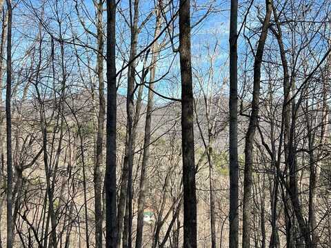 Lot 57c Indian Trail, Hayesville, NC 28904