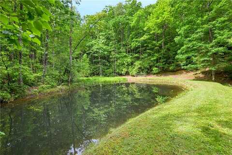 Old Burnt Mountain, ELLIJAY, GA 30536