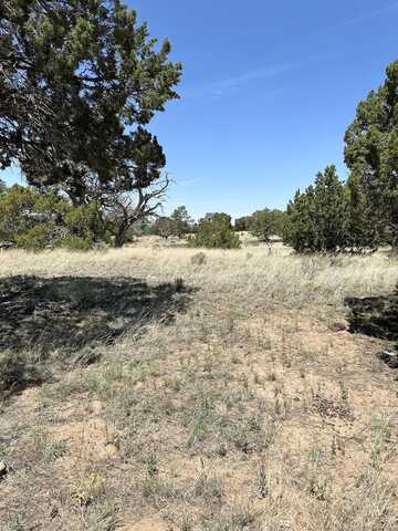 State Route 603, Pie Town, NM 87827