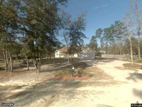 Squirrel, MIDDLEBURG, FL 32068