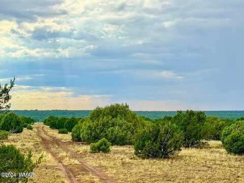 Lot K Silver Lake Blvd 80.61 Acres, Show Low, AZ 85901