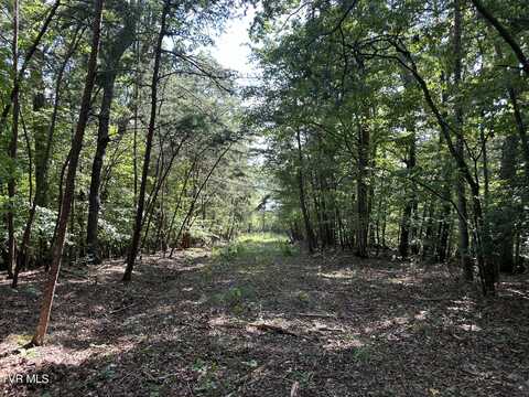 Lot 1239 Rustic Drive, Baneberry, TN 37890