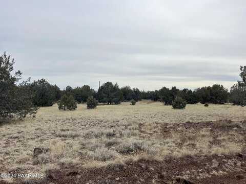 S Canyon Road, Williams, AZ 86046