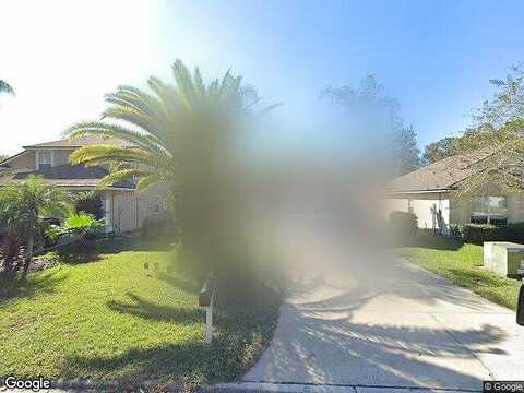 Tropical, SAINT JOHNS, FL 32259