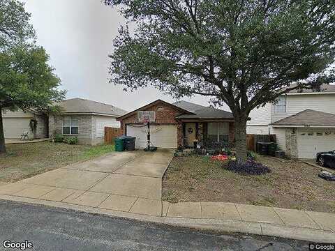 Cougar Country, SAN ANTONIO, TX 78251