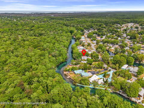 Richard, WEEKI WACHEE, FL 34607