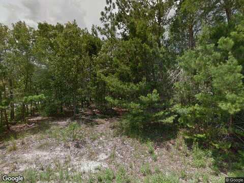 Pecan, OCALA, FL 34472