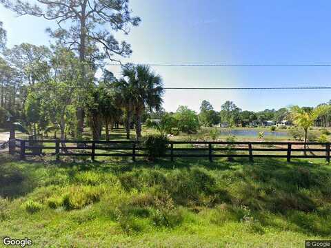 Wedelia, PALM CITY, FL 34990