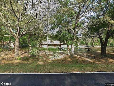 Blackberry, MIDDLEBURG, FL 32068