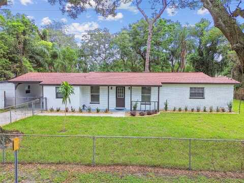 Peach, SEFFNER, FL 33584