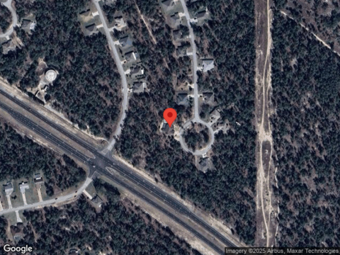 Tall Marigolds, HOMOSASSA, FL 34446
