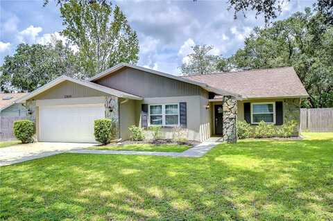 Bellflower, LAND O LAKES, FL 34639