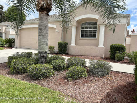 Royal Palm, SPRING HILL, FL 34608