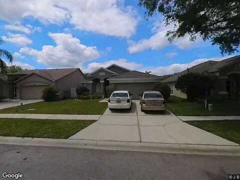 Dark Star, WESLEY CHAPEL, FL 33544