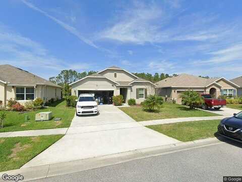 Bear Corn, PORT ORANGE, FL 32128