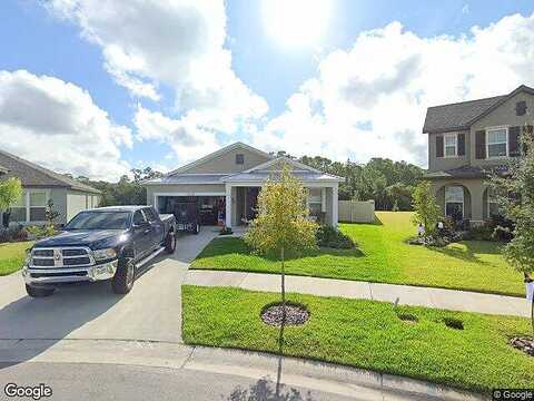 Palmera Vista, RIVERVIEW, FL 33579