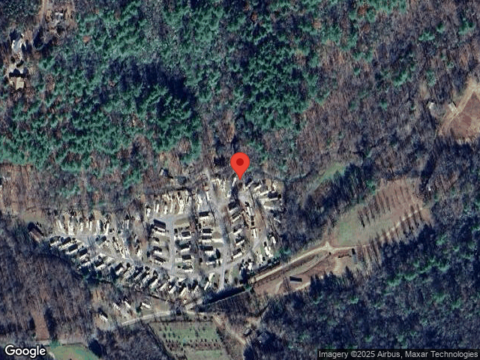 Bear, BLAIRSVILLE, GA 30512